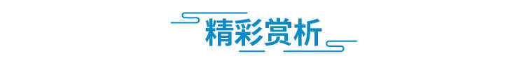 精彩赏析
